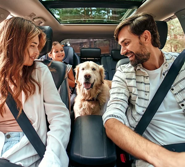 Holiday Travel Tips for Avoiding Common Stress